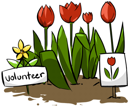 Can you have volunteers at your center?