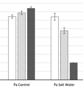 PA_Control+water