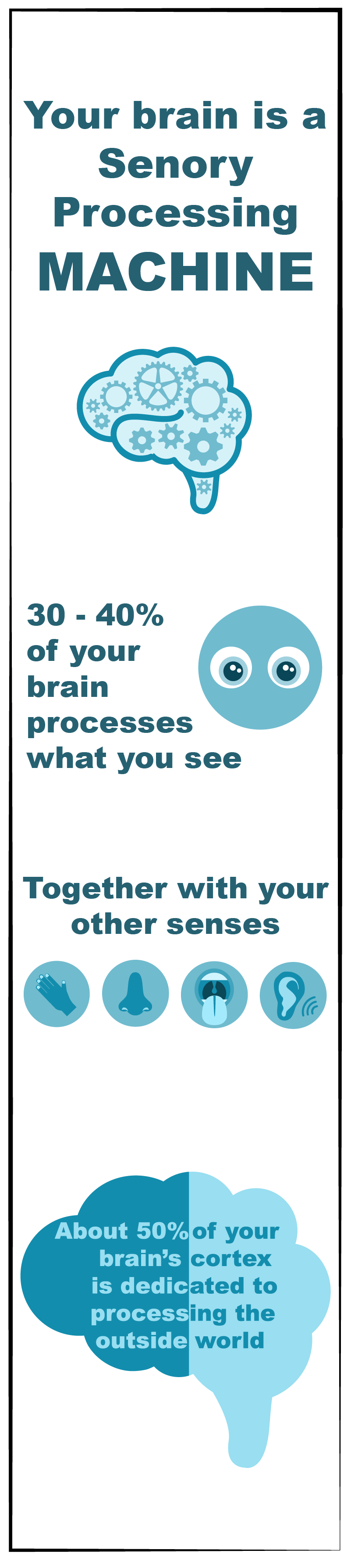 about 50% of your brain's cortex is dedicated to processing the outside world